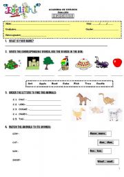 English Worksheet: TEST