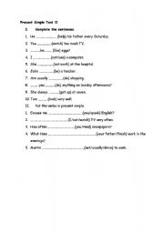 English Worksheet: Present Simple Test