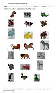 English worksheet: Animal Unit