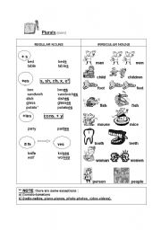 English Worksheet: Plural