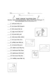 Baby Animals True/False Quiz