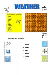 English Worksheet: The weather