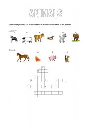 English Worksheet: Animals crossword