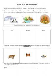English Worksheet: What is an environment