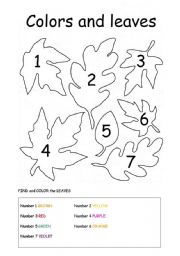 English Worksheet: FIND and COLOR the LEAVES