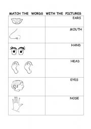 English Worksheet: five senses