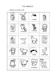 English Worksheet: Animals Revision