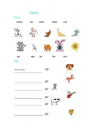 English Worksheet: Animals