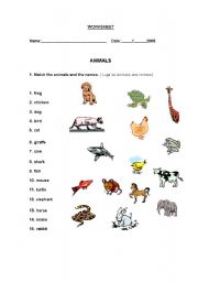 English Worksheet: Worksheet