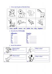 English Worksheet: PETS AND VERB TO BE