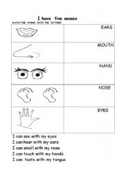 English Worksheet: five senses