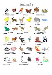 English Worksheet: Animals