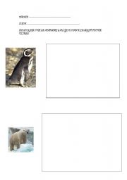 English Worksheet: describing animals