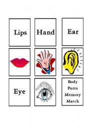 English Worksheet: Body Parts match 1 of 2