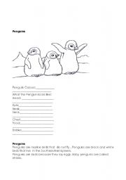 English worksheet: polar animals