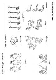 English Worksheet: Jungle animals: read and count