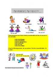 English Worksheet: TO BE EXPRESSIONS