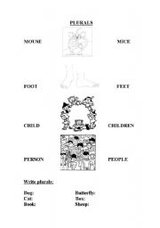 English Worksheet: PLURALS