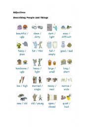 English Worksheet: Adjectives