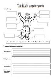 English Worksheet: The body (singular & plural)