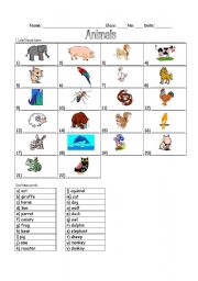 English Worksheet: Animals