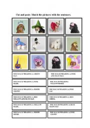 English Worksheet: fashion dogs