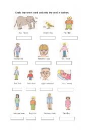 English Worksheet: vocabulary