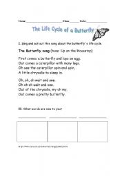 English Worksheet: The Lifecycle of a Butterfly