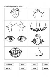 English Worksheet: Body parts