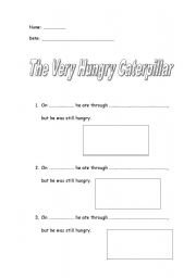 English Worksheet: The very hungry caterpillar