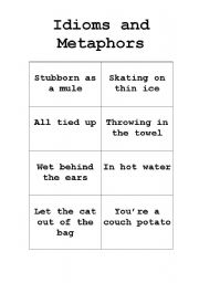 English Worksheet: Idioms and Metaphors activity