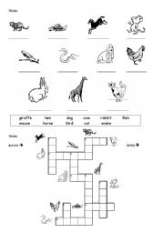 English Worksheet: Animals Crossword