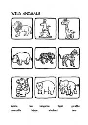 English Worksheet: Wild animals