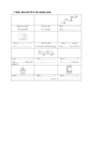 English Worksheet: SINGULAR AND PLURAL