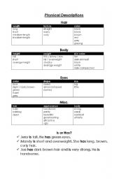 English Worksheet: Physical Descriptions