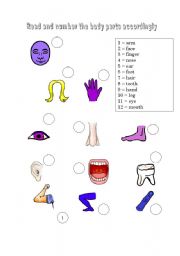 body parts