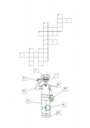 English Worksheet: crossword parts of body