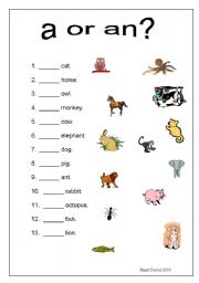 English Worksheet: A or an animals worksheet