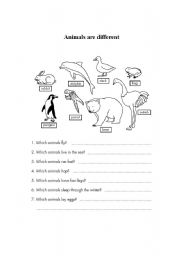 English Worksheet: Animals are different