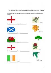 English Worksheet: Culture spot: Countries and flowers