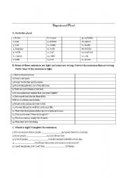 English Worksheet: Plurals