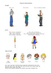 English Worksheet: Physical descriptions