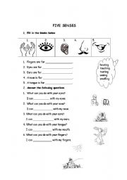 English Worksheet: Five Senses