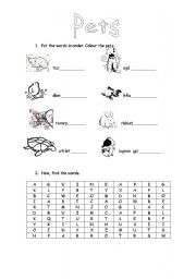 English Worksheet: Pets