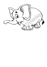 English Worksheet: Daily Elephants