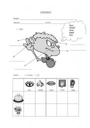 English Worksheet: 5 senses