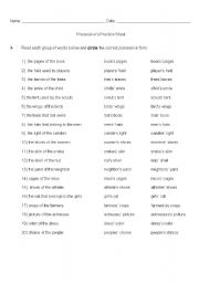 English Worksheet: possessives practice