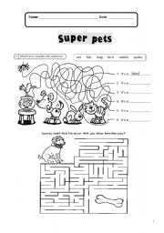 English Worksheet: Super Pets