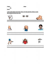 English Worksheet: body parts 
