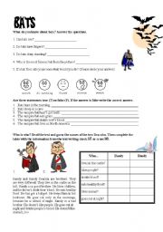 English Worksheet: Bats